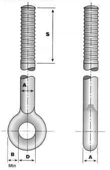 rod eye